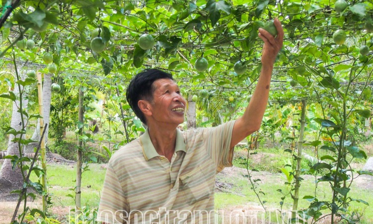 Lan tỏa mạnh mẽ việc học tập và làm theo Bác ở huyện Long Phú